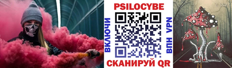 Псилоцибиновые грибы Cubensis  Бор 
